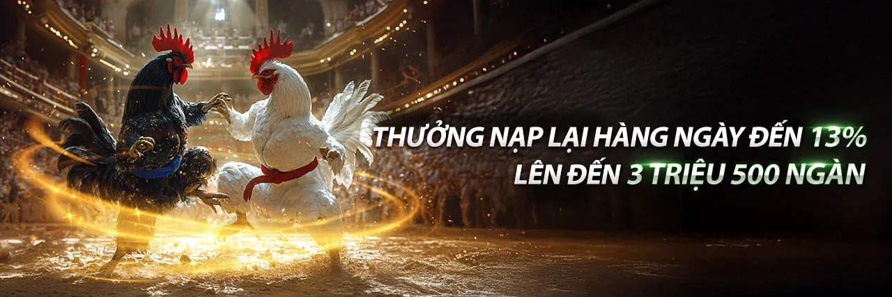 Hình ảnh đá gà trực tuyến trên vnd888 live