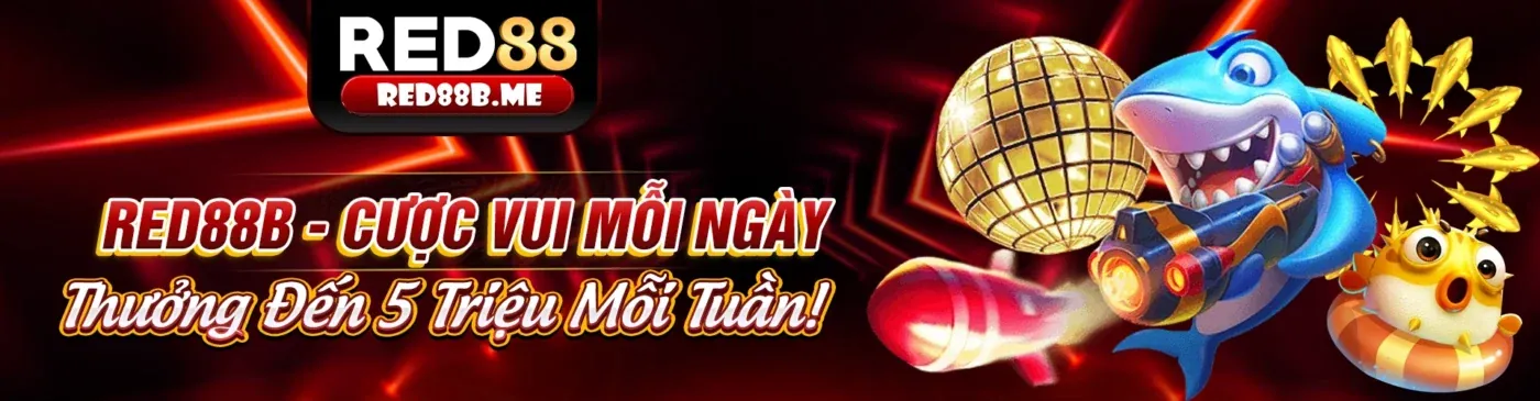 Ứng dụng vnd888 live trên điện thoại di động